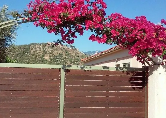 Elegant And Serene Angeliki *