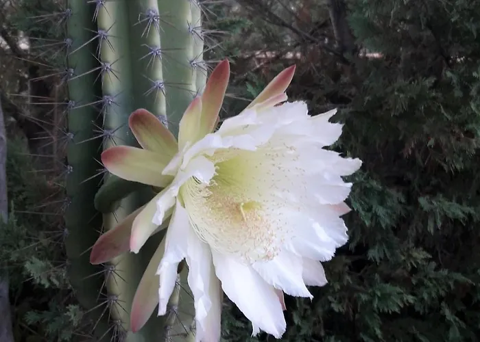 Elegant And Serene Angeliki Βίλα Fokata