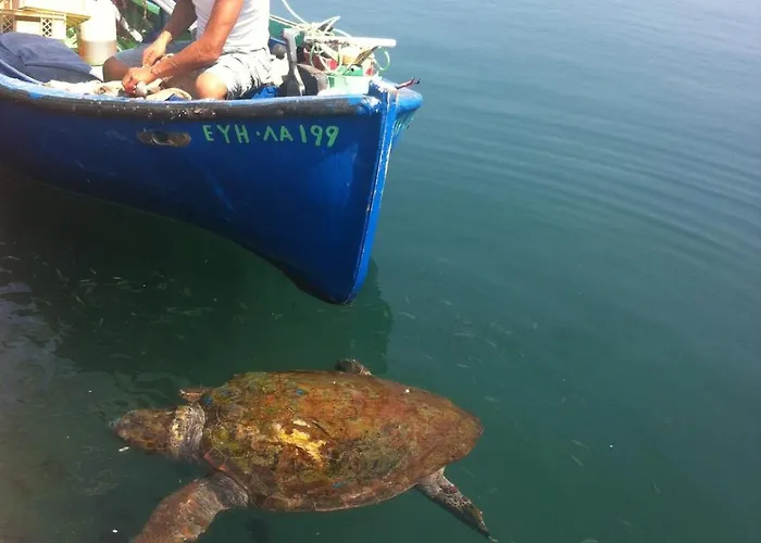 Elegant And Serene Angeliki Fokata
