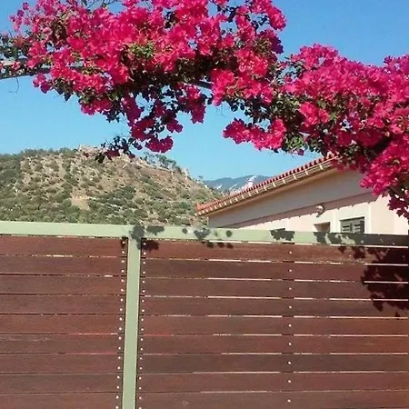 Elegant And Serene Angeliki *