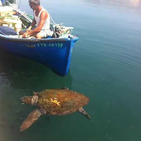 Elegant And Serene Angeliki Fokata
